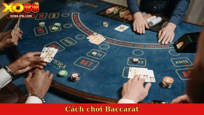 Cách chơi Baccarat