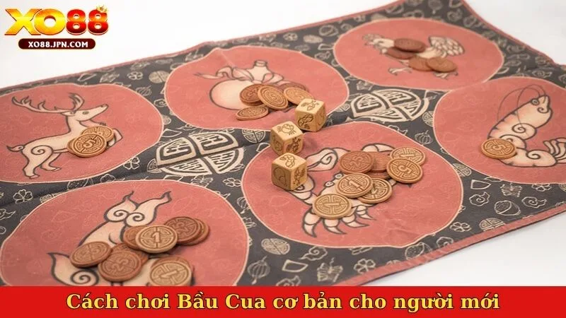 Cách chơi Bầu Cua cơ bản cho người mới