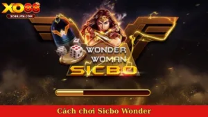 Cách chơi Sicbo Wonder