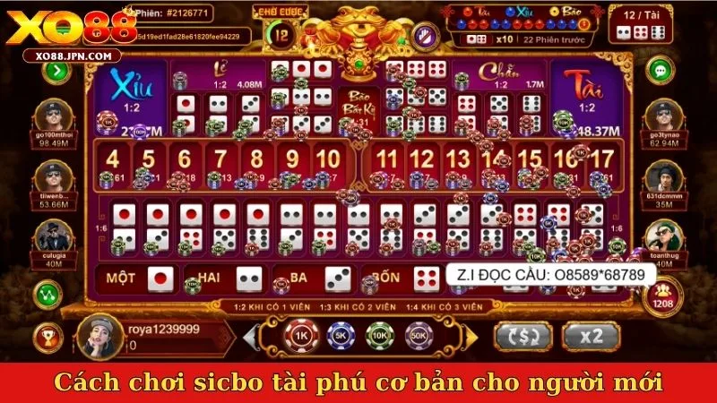 Cách chơi sicbo tài phú cơ bản cho người mới