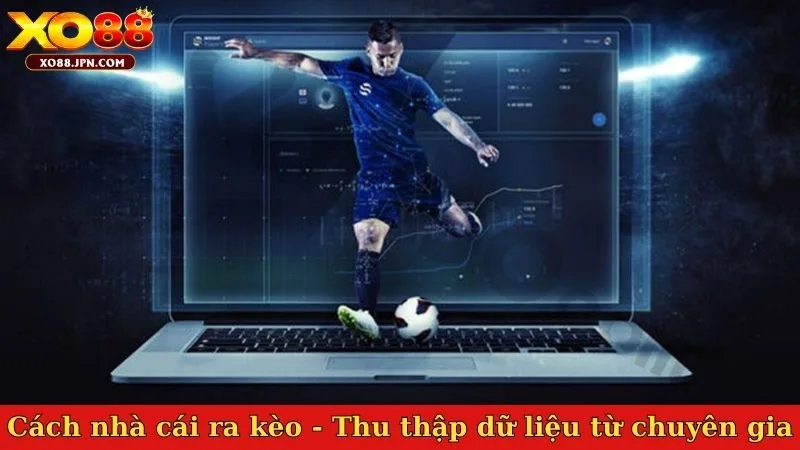 Cách nhà cái ra kèo - Thu thập dữ liệu từ chuyên gia