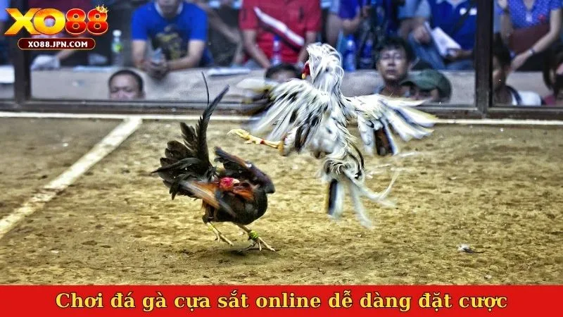 Chơi đá gà cựa sắt online dễ dàng đặt cược