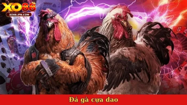đá gà cựa dao