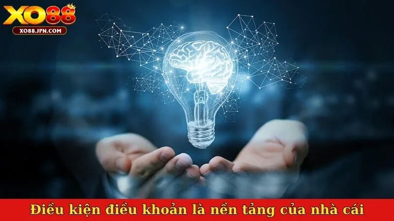 Điều kiện điều khoản là nền tảng vững bền của nhà cái