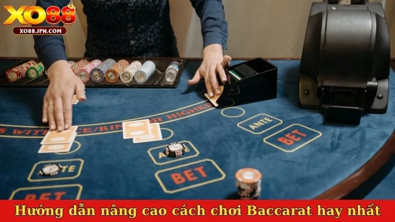 Hướng dẫn nâng cao cách chơi Baccarat hay nhất