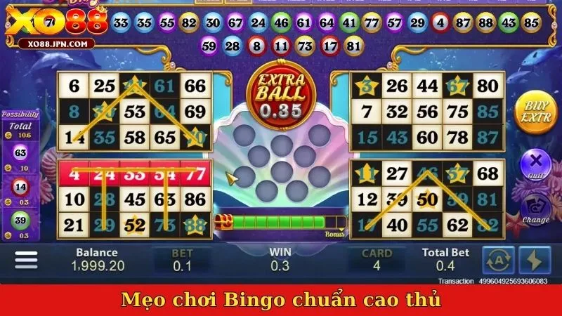 Mẹo chơi Bingo chuẩn cao thủ