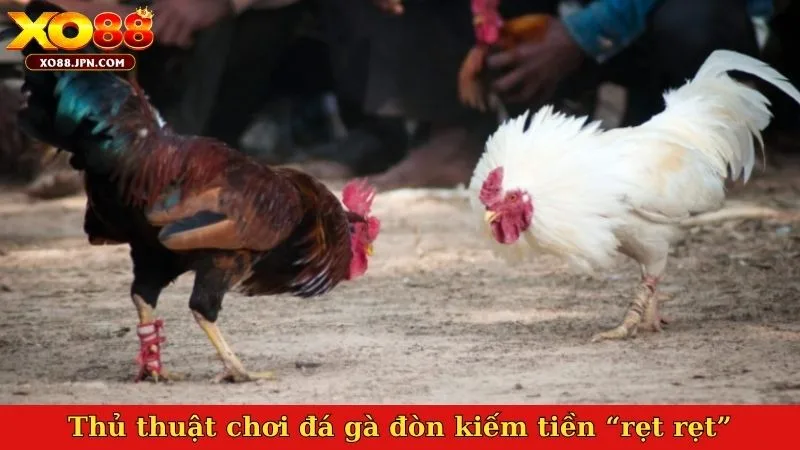 Thủ thuật chơi đá gà đòn kiếm tiền “rẹt rẹt”