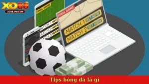 Tips bóng đá là gì