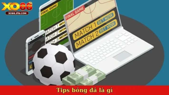 Tips bóng đá là gì