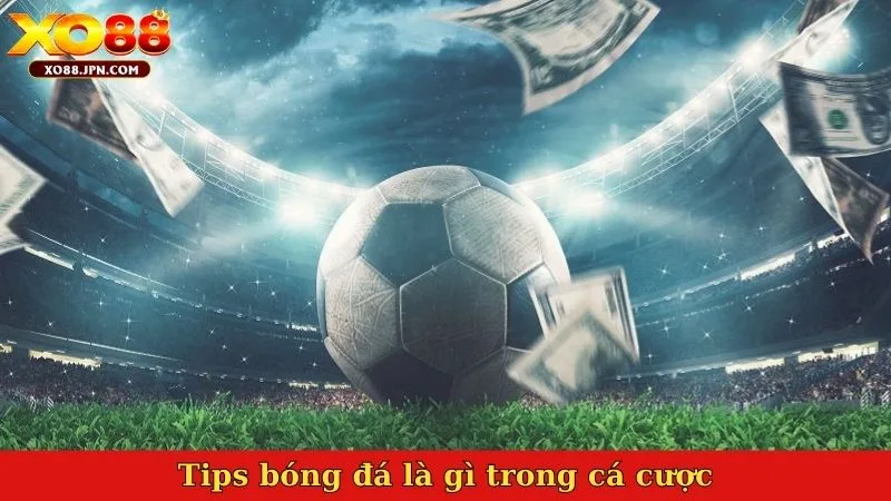 Tips bóng đá là gì trong cá cược