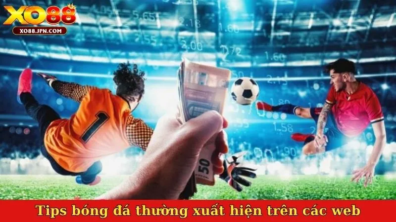 Tips bóng đá là gì thường xuất hiện trên các web, diễn đàn